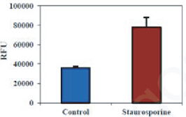 BBI細(xì)胞組學(xué)產(chǎn)品秋冬促銷火熱開啟，放開價(jià)勢(shì)無需再等